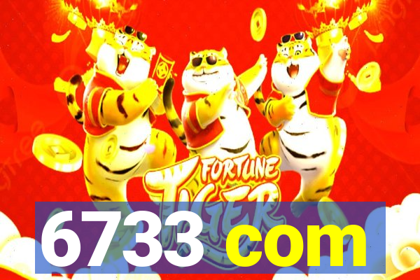 6733 com